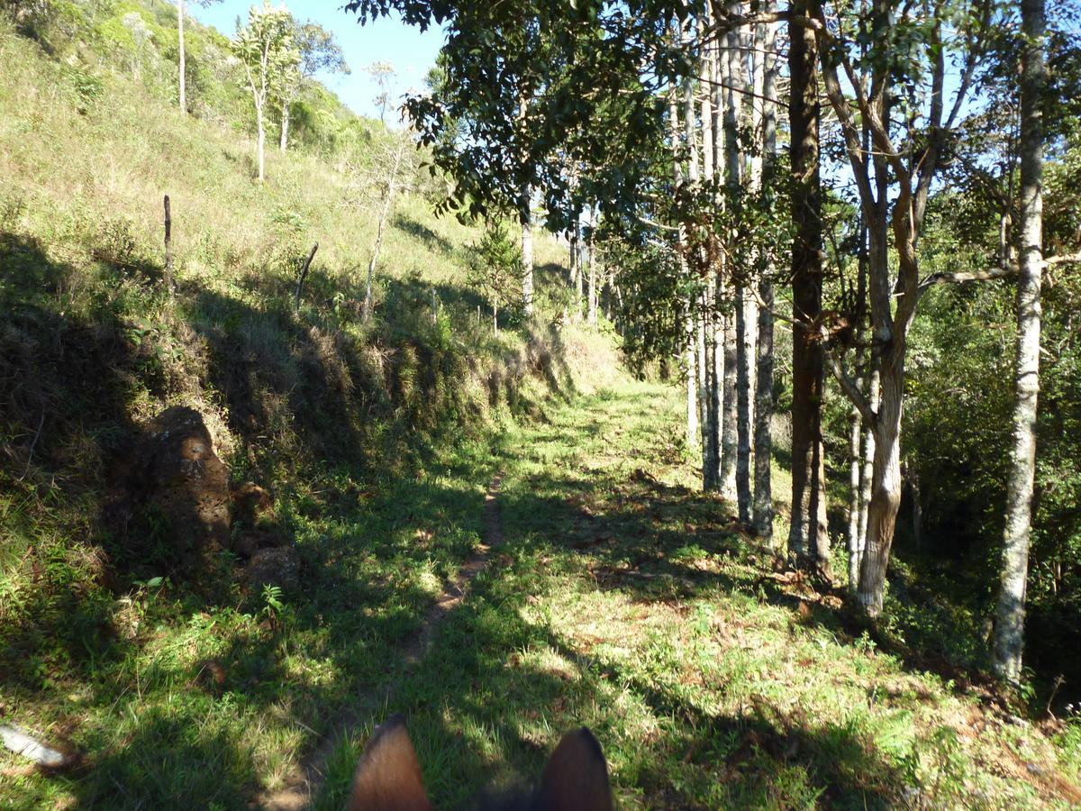 Casa De Campo Rustica Em Fazenda Usina Bocaina de Minas Zewnętrze zdjęcie