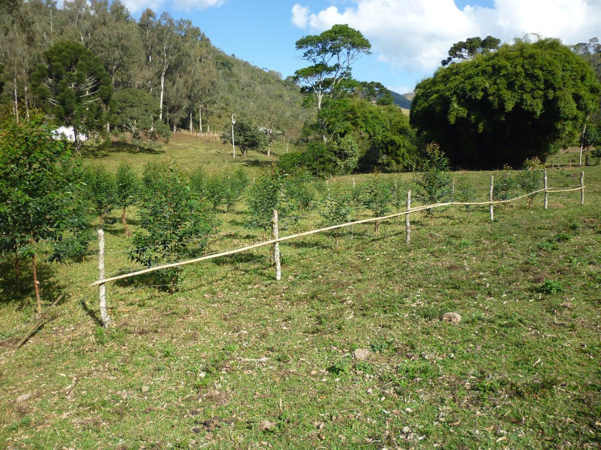 Casa De Campo Rustica Em Fazenda Usina Bocaina de Minas Zewnętrze zdjęcie
