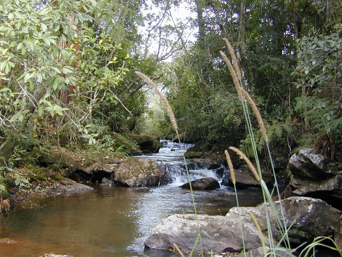 Casa De Campo Rustica Em Fazenda Usina Bocaina de Minas Zewnętrze zdjęcie