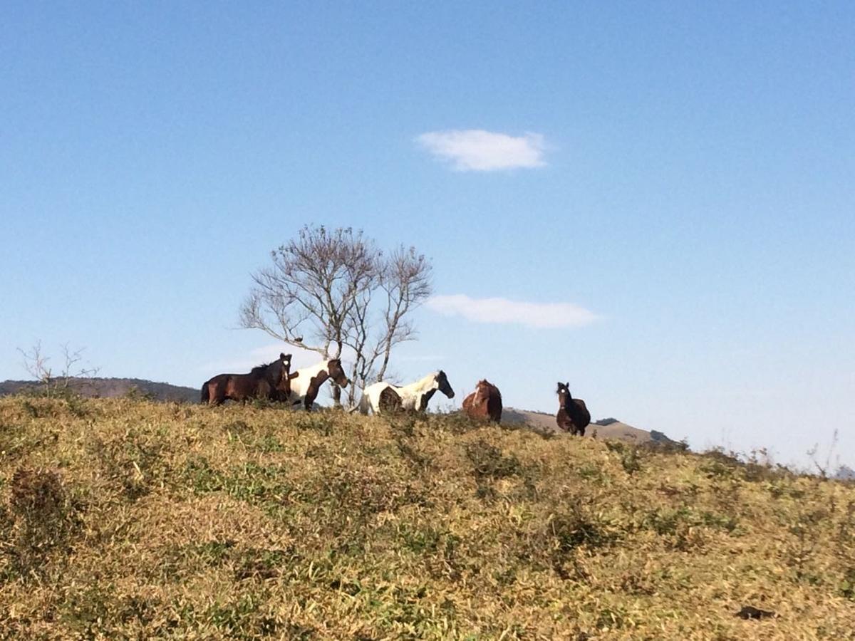 Casa De Campo Rustica Em Fazenda Usina Bocaina de Minas Zewnętrze zdjęcie