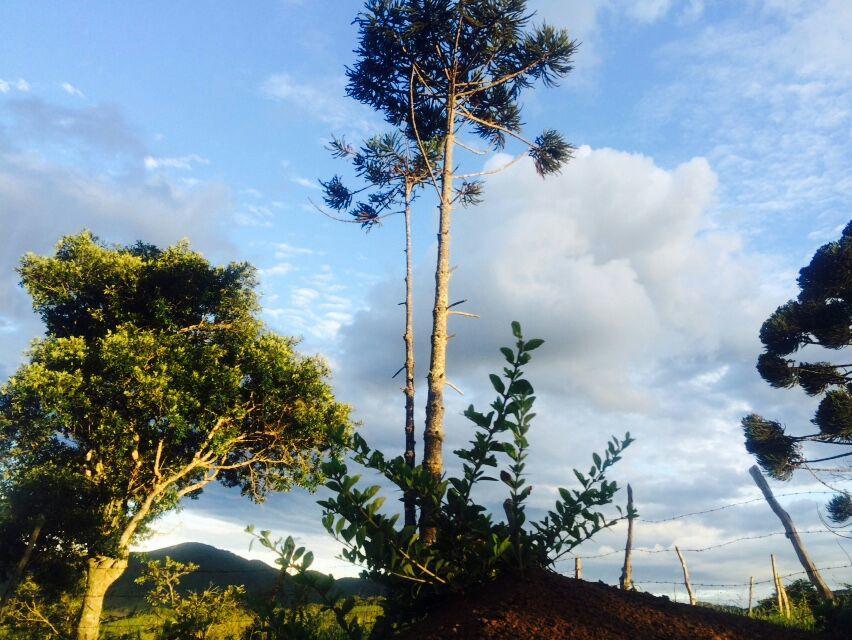 Casa De Campo Rustica Em Fazenda Usina Bocaina de Minas Zewnętrze zdjęcie